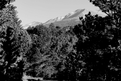 chief-meeker-14x11-bw-scaled