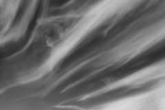 wisps-IMG_20210617_181648-scaled