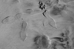 sand-1-DSC_0206-scaled
