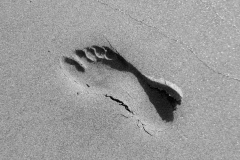 sand-2-DSC_0208-scaled