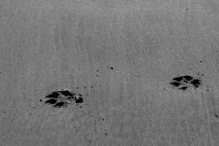 sand-3-DSC_0209-scaled