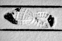 snow-2-DSC_0292-scaled