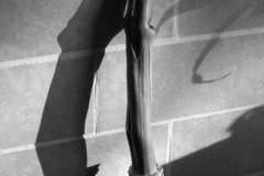 fireplace-brush-DSC_0005