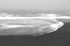 california-surf-IMG_20210710_095750