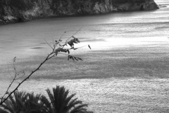 riomaggiore-cinqueterre-p1000569